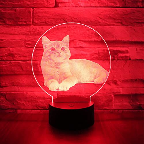 Jinson well 3D katze led licht Lampe optische Illusion Nachtlicht, 7 Farbwechsel Touch Switch Tisch Schreibtisch Dekoration Lampen Flat Base USB Spielzeug Jinson well 3D katze led licht Lampe optische Illusion Nachtlicht, 7 Farbwechsel Touch Switch Tisch Schreibtisch Dekoration Lampen Flat Base USB Spielzeug von Jinson well