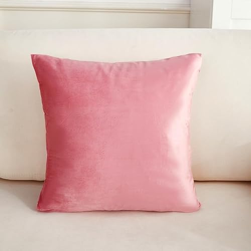 JinweiS 2 einfache Sofakissenbezüge aus Samt, grüner Druck, bunter Kissenbezug, erhellen Sie Ihr Schlafzimmer, 40 x 40 cm, Rosa von JinweiS