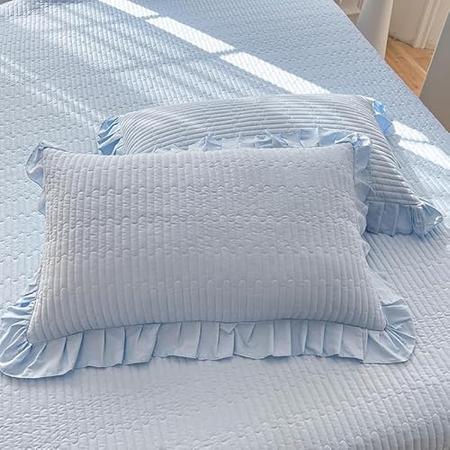 JinweiS 2 x Baumwoll-Kissenbezüge, einfach ist nicht einfach, Baumwoll-Kissenbezüge, für mehr Schlafen, 48 x 74 cm (Blau) von JinweiS