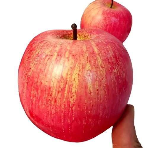 JinweiS Gefälschte Früchte Künstliche Äpfel, Ein Set von 12 Lebensechten Künstlichen Äpfeln Realistische Obst Dekoration Küche Realistische Gefälschte Obst Party Requisiten Home Decoration (Rosa Äpfel JinweiS Gefälschte Früchte Künstliche Äpfel, Ein Set von 12 Lebensechten Künstlichen Äpfeln Realistische Obst Dekoration Küche Realistische Gefälschte Obst Party Requisiten Home Decoration (Rosa Äpfel von JinweiS