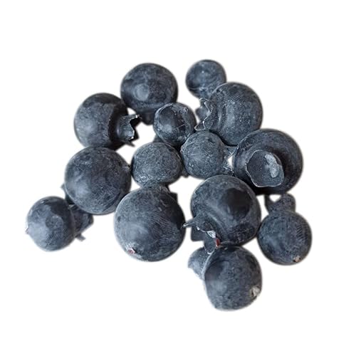 JinweiS Künstliche Blaubeeren, 50 künstliche Blaubeeren, lebensechte Simulation, Heidelbeeren, Heimwerker, Küchenschränke, Lebensmittelfotografie-Requisiten von JinweiS