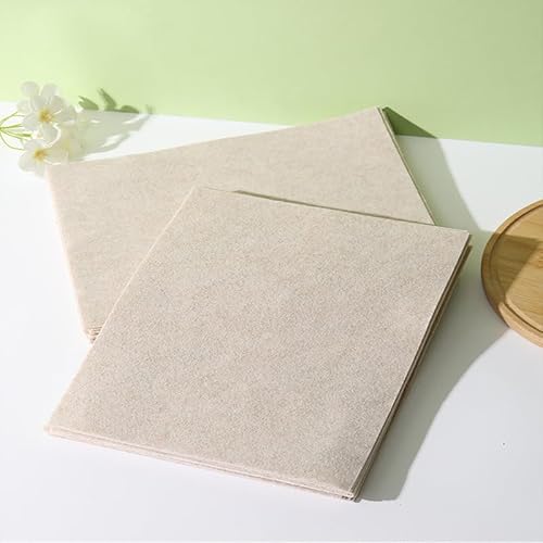 JinweiS Luffa Reinigungstücher, ölabsorbierend, antihaftbeschichtet, leicht zu reinigen, dickes Luffa-Geschirrtuch und Scheuerschwamm, Pflanzenfaser für die Küche, 25 x 25 cm, 10 Stück von JinweiS