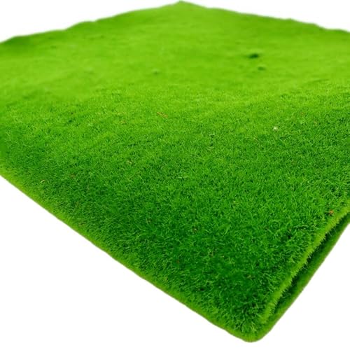 JinweiS Simulation künstliches Moos, Gras, Rasenmatte, keine Pflege, Mauer, Grünpflanzen, Heimrasen, künstliches Moos, Design, Gartenlandschaftsdekoration (Farbe: 02, Größe: 100 x 100 cm) von JinweiS