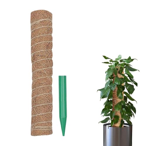 Moschusstange Pflanzenstütze, Gemüse Moschusstange - Abnehmbares System unterstützt Muskio Monsteracoia Stangen - Trapy Gartenstab, Hausstange Moschusstange Pflanzenstütze, Gemüse Moschusstange - Abnehmbares System unterstützt Muskio Monsteracoia Stangen - Trapy Gartenstab, Hausstange von Jinyilwn