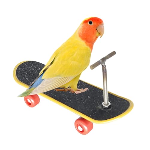 Vogelspielzeug für Papageien, Papageien-Trainingsobjekte | Pädagogisches Puzzle Angeln SV Haustierbedarf Intelligenz Vogelspielzeug Vogelspielzeug für Papageien, Papageien-Trainingsobjekte | Pädagogisches Puzzle Angeln SV Haustierbedarf Intelligenz Vogelspielzeug von Jinyilwn