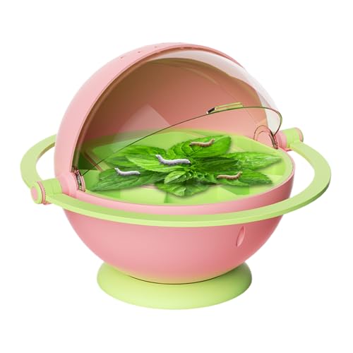 Zuchtbox aus Ton Tragbarer Lebensraum für Kaikou Wiederverwendbare Insektenzuchtbehälter für Klassenzimmer Pädagogischer Beobachtungskäfig für Lernen zu Hause Zuchtbox aus Ton Tragbarer Lebensraum für Kaikou Wiederverwendbare Insektenzuchtbehälter für Klassenzimmer Pädagogischer Beobachtungskäfig für Lernen zu Hause von Jinyilwn