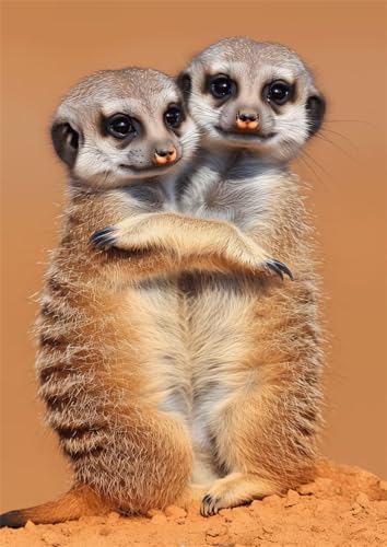 DIY 5D Diamond Painting Erwachsene/Kinder, Süße Erdmännchen Diamant Painting Kits Bilder Diamant Malerei Set mit Zubehör Kristall Strass Stickerei Kreuzstich Basteln Arts für Geschenk Home 40x50cm DIY 5D Diamond Painting Erwachsene/Kinder, Süße Erdmännchen Diamant Painting Kits Bilder Diamant Malerei Set mit Zubehör Kristall Strass Stickerei Kreuzstich Basteln Arts für Geschenk Home 40x50cm von Jiorn