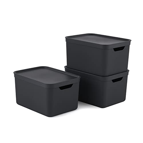 Jive Dekobox 3er- Set Aufbewahrungsbox 16l mit Deckel, Kunststoff (PP recycelt), dunkelgrau, 3x16l (37.5 x 27.8 x 29.8 cm) von Rotho