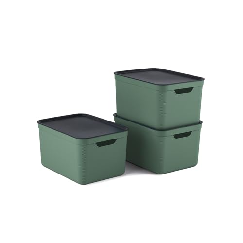 Jive Dekobox 3er- Set Aufbewahrungsbox 16l mit Deckel, Kunststoff (PP recycelt), grün/anthrazit, 3x16l (37.5 x 27.8 x 29.8 cm) von Rotho