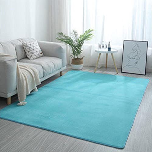 Jllcyr Teppiche Wohnzimmer Schlafzimmer Weiche Rugs Moderne Einfarbig Dicker Korallen Samt Extra Großer Waschbarer Rugs Rutschfester Flauschiger Rug Schlafzimmer Nachttisch Büro Dekor-Türkis von Jllcyr