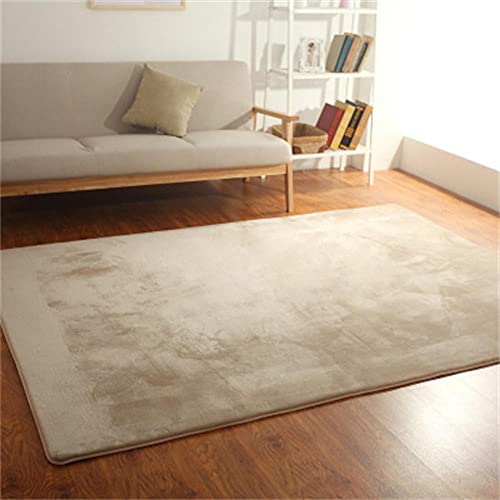 Teppich Moderner Super Soft Touch Area Rug Beige Korallenrote Samt teppiche Shaggy Wohnzimmer Große Rugs Schlafzimmer Teppich Kurzflor Indoor Anti Rutsch Teppich Geeignet für Wohnkultur(18) von Jllcyr