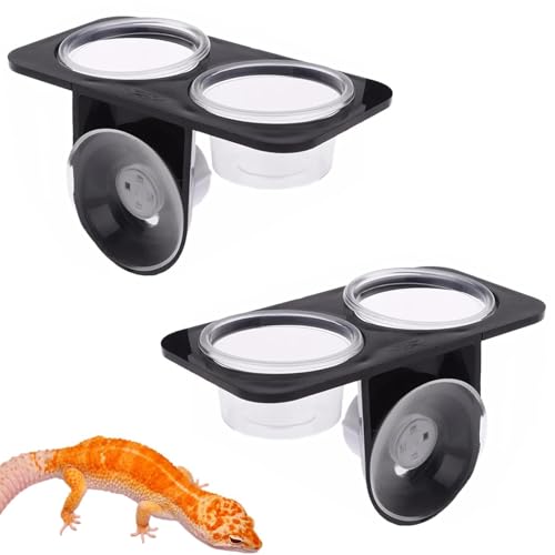2 Stück Reptile Feeder mit Saugnapf, Saugnapf Reptile Feeder, Reptilien Echse Feeder Kleiner, Reptilien Feeder für Reptilien, Gecko Futtertassen für Eidechsen, Geckos, Spinnen und Andere Reptilien 2 Stück Reptile Feeder mit Saugnapf, Saugnapf Reptile Feeder, Reptilien Echse Feeder Kleiner, Reptilien Feeder für Reptilien, Gecko Futtertassen für Eidechsen, Geckos, Spinnen und Andere Reptilien von Jlnmmn