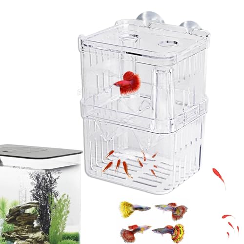 Fischzuchtbecken – verstellbares Aquarium, Brutkasten, vielseitig verwendbare Züchterbox, Laichgehege für Aggressive oder verletzte Fische, Inkubatorbehälter, 12 x 7 x 7 x 7 cm von Jlobnyiun