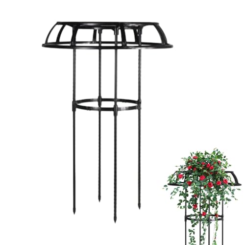 Hoher Käfig – Himbeergeflecht, Topfständer | Gartengitter aus robustem Stahl, Himbeerblumengitter in Regenschirmform, Rosengitter Hoher Käfig – Himbeergeflecht, Topfständer | Gartengitter aus robustem Stahl, Himbeerblumengitter in Regenschirmform, Rosengitter von Jlobnyiun