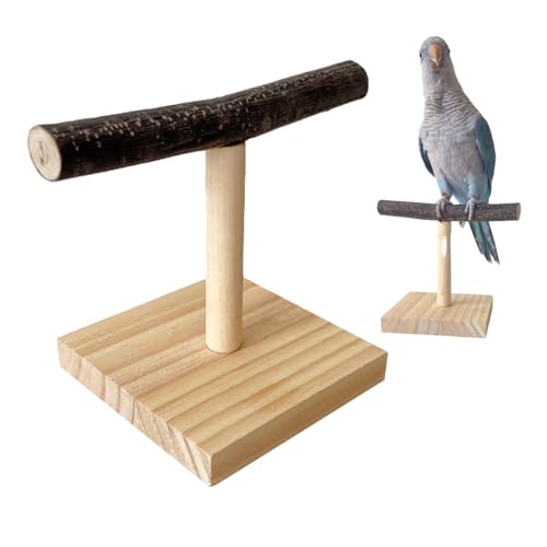 Holzpapagei T Perch Training Play Stand - Tragbares Vogelregal, T -förmiger Volkshalter, leichte Reisevorrichtung, Desktop Playtime Requisite | Ideal für Bruepapageien Cockatiels Conures Finch Lovebir von Jlobnyiun