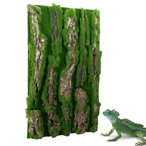 Reptilien -Terrarium -Hintergrund Kork - Echsendekor, Tankwand Hintergrund, realistische Rindendekorpanel, Habitat -Accessoire für bärtige Drache, Chameleon Tortoise | Schafft bequemes und stilvolles von Jlobnyiun