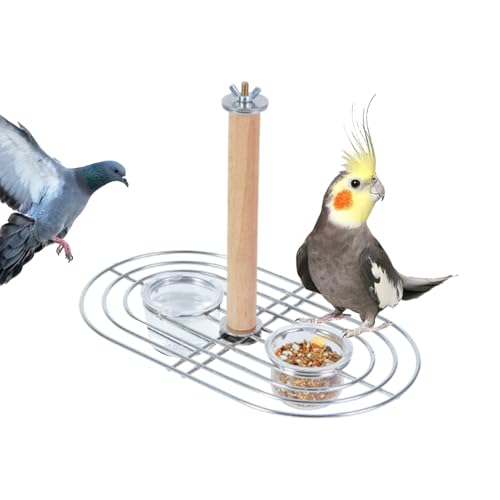 Vogelfutternapf,Futterbecherhalter Für Sittiche | Klare Aufhängbare Vogelnäpfe Für Nymphensittiche Wellensittiche Graupapageien Finken Sittiche Terrasse Balkon Garten Vogelfutternapf,Futterbecherhalter Für Sittiche | Klare Aufhängbare Vogelnäpfe Für Nymphensittiche Wellensittiche Graupapageien Finken Sittiche Terrasse Balkon Garten von Jlobnyiun