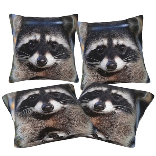 Jmorco Little Raccoon Face Throw Pillow Cases 4 Pack Square Pillowcases Super Soft Pillow Protectors With Zipper For Couch Living Room Sofa Bed Office Car von Jmorco