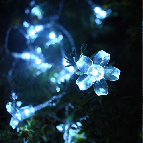 JnDee LED-Lichterkette, batteriebetrieben, kaltweiße Kirschblüte, 2 m, 20 LEDs, An/Aus/Blink-Funktion, perfekt für Weihnachten, Hochzeiten, Raumdekoration, Partys von JnDee