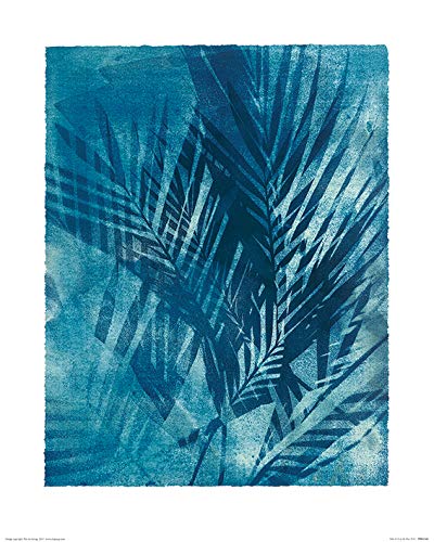 Jo de Pear Kunstdrucke, Papier, Mehrfarbig, 40 x 50 cm von Jo de Pear