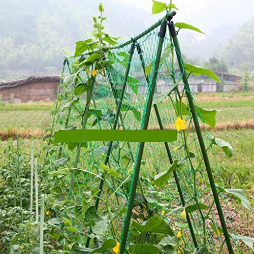 Ranknetz für Kletterhilfe - stabile Form Rankhilfe Kletterpflanzen Gurkenrankhilfe,Ranknetz Rankhilfe Garten Tomaten Gurken,Großer Rastergröße Sehr Passend Netz für Kletterpflanzen Gewächshaus Zubehör von JoCome