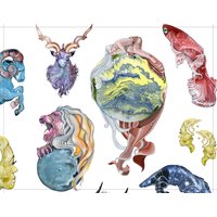 sternzeichen - Handgemaltes Giclée Kunstdruck/Poster Aquarellmalerei Von Joanna Jensen von JoannaIllustration