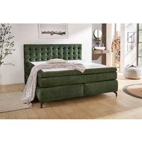 Jockenhöfer Gruppe Boxspringbett "Jessica inklusive 9cm Kaltschaum-Topper", und 7-Zonen-TTFK-Matratze (H3,H3/H4 oder H4), Liegefläche 180x200cm Jockenhöfer Gruppe Boxspringbett "Jessica inklusive 9cm Kaltschaum-Topper", und 7-Zonen-TTFK-Matratze (H3,H3/H4 oder H4), Liegefläche 180x200cm von Jockenhöfer Gruppe