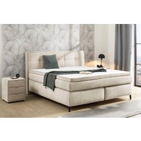 Jockenhöfer Gruppe Boxspringbett "Capello" 7-Zonen-TTFK-Matratze, KS-Topper, verschiedene Härtegrade wählbar Jockenhöfer Gruppe Boxspringbett "Capello" 7-Zonen-TTFK-Matratze, KS-Topper, verschiedene Härtegrade wählbar von Jockenhöfer Gruppe