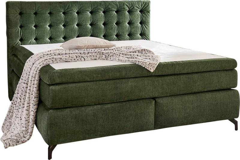 Jockenhöfer Gruppe Boxspringbett Jessica inklusive 9cm Kaltschaum-Topper, und 7-Zonen-TTFK-Matratze (H3,H3/H4 oder H4), Liegefläche 180x200cm Jockenhöfer Gruppe Boxspringbett Jessica inklusive 9cm Kaltschaum-Topper, und 7-Zonen-TTFK-Matratze (H3,H3/H4 oder H4), Liegefläche 180x200cm von Jockenhöfer Gruppe