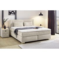 Jockenhöfer Gruppe Boxspringbett "Romana, inkl. 7-Zonen-TTFK-Matratze" KS-Topper, verschiedene Härtegrade und Bettbreiten wählbar Jockenhöfer Gruppe Boxspringbett "Romana, inkl. 7-Zonen-TTFK-Matratze" KS-Topper, verschiedene Härtegrade und Bettbreiten wählbar von Jockenhöfer Gruppe