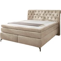 Jockenhöfer Gruppe Boxspringbett "Scarlett mit einer hochwertigen 7-Zonen-Tonnentaschenfederkernmatratze" H3, H3/H4 oder H4, und einem 9cm Kaltschaum-Topper Jockenhöfer Gruppe Boxspringbett "Scarlett mit einer hochwertigen 7-Zonen-Tonnentaschenfederkernmatratze" H3, H3/H4 oder H4, und einem 9cm Kaltschaum-Topper von Jockenhöfer Gruppe