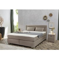 Jockenhöfer Gruppe Boxspringbett "Romana, inkl. 7-Zonen-TTFK-Matratze" KS-Topper, verschiedene Härtegrade und Bettbreiten wählbar Jockenhöfer Gruppe Boxspringbett "Romana, inkl. 7-Zonen-TTFK-Matratze" KS-Topper, verschiedene Härtegrade und Bettbreiten wählbar von Jockenhöfer Gruppe