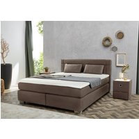 Jockenhöfer Gruppe Boxspringbett "Romana, inkl. 7-Zonen-TTFK-Matratze" KS-Topper, verschiedene Härtegrade und Bettbreiten wählbar Jockenhöfer Gruppe Boxspringbett "Romana, inkl. 7-Zonen-TTFK-Matratze" KS-Topper, verschiedene Härtegrade und Bettbreiten wählbar von Jockenhöfer Gruppe
