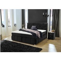 Jockenhöfer Gruppe Boxspringbett "Bella erhältlich in 140 & 180cm Breite" mit Kaltschaum-Topper und Rauchglas-Steinen Jockenhöfer Gruppe Boxspringbett "Bella erhältlich in 140 & 180cm Breite" mit Kaltschaum-Topper und Rauchglas-Steinen von Jockenhöfer Gruppe