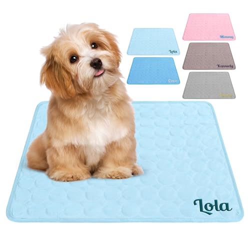 Jodimitty Kühlmatte Hund，Kühlmatte Katze Kühlmatte Bett für Hunde Katzen Sommer Zuhause Auto 6 Große (Hellblau) von Jodimitty