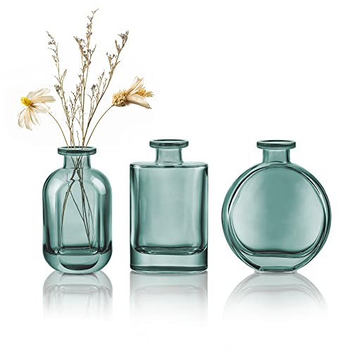 Blau-Grün Kleine Glasvasen 3er Set - Bunt Blumenvase Desktop - Knospenvase Dekorative für Zuhause, Büro, Tischdekoration von Joeyan