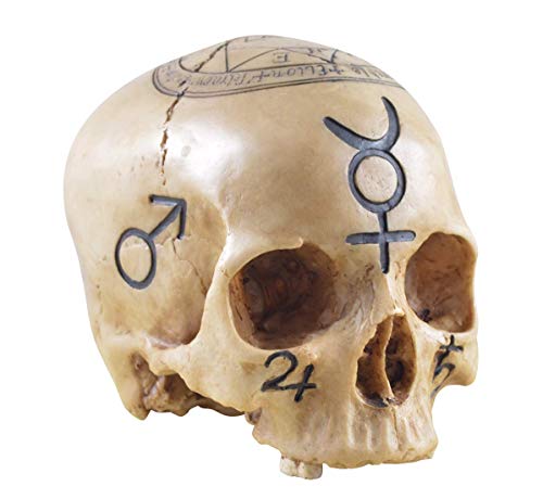Vogler 812-1258 Totenschädel Necromancer Totenkopf Schädel Figur Deko Dekoration von Joh. Vogler GmbH