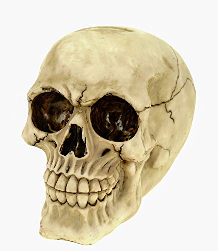 Joh. Vogler GmbH Spardose Totenschädel 15 cm Sparschwein Totenkopf Gothic Metallic Kunststein Sculpture von Joh. Vogler GmbH