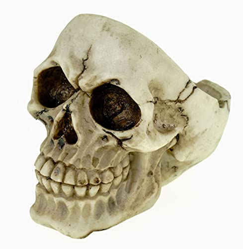 Vogler Schädel Aschenbecher 12cm - Totenkopf Ascher aus Kunststein - Gothic Deko Figur - Mehrfarbiger Totenschädel - Halloween Dekoration - Geschenkidee von Joh. Vogler GmbH
