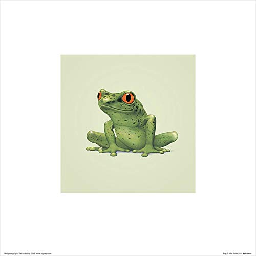 John Butler "Frog" 30 x 30cm Kunstdruck von John Butler