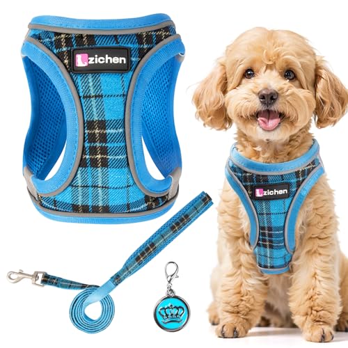 Hundegeschirr Kleine Hunde mit Leine, Verstellbares Step-In Welpengeschirr, Reflektierendes, Atmungsaktives Hundegeschirr für Welpen, für Spaziergänge, Training, Outdoor-Aktivitäten von Jokureao