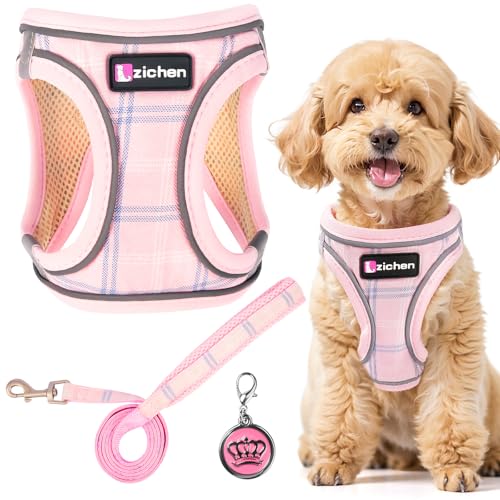 Hundegeschirr Kleine Hunde mit Leine, Step-in Geschirr Reflektierend Atmungsaktiv Brustgeschirr, Welpengeschirr, für Kleine Hunde, Katzen (Rosa, XS) von Jokureao