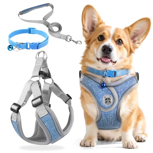 3 Stück Hundegeschirr und Leine Set, Verstellbares Brustgeschirr, Reflektierendes atmungsaktives Hundegeschirr mit D-Ring, Hundegeschirrs Set für Welpen, Kleine Hunde von Jokureao
