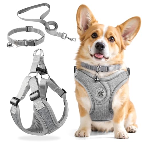 3 Stück Hundegeschirr und Leine Set, Verstellbares Brustgeschirr, Reflektierendes atmungsaktives Hundegeschirr mit D-Ring, Hundegeschirrs Set für Welpen, Kleine Hunde von Jokureao