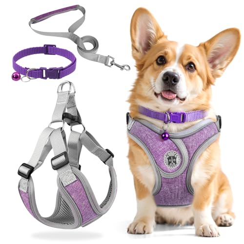 3 Stück Hundegeschirr und Leine Set, Verstellbares Brustgeschirr, Reflektierendes atmungsaktives Hundegeschirr mit D-Ring, Hundegeschirrs Set für Welpen, Kleine Hunde von Jokureao