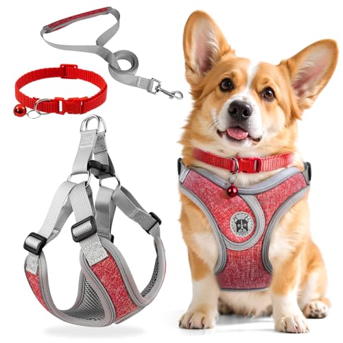 3 Stück Hundegeschirr und Leine Set, Verstellbares Brustgeschirr, Reflektierendes atmungsaktives Hundegeschirr mit D-Ring, Hundegeschirrs Set für Welpen, Kleine Hunde von Jokureao