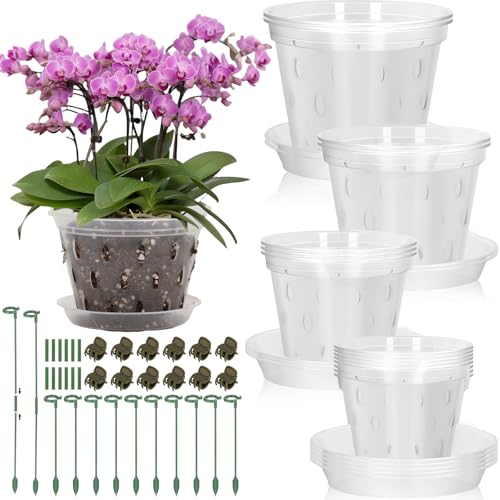 Orchideentöpfe mit Löchern und Untertassen zum Umtopfen, transparenter Orchideentopf mit grünem Orchideenstab-Clip, atmungsaktiver geschlitzter Kunststoff-Orchideen-Pflanztopf mit Drainage für Orchideentöpfe mit Löchern und Untertassen zum Umtopfen, transparenter Orchideentopf mit grünem Orchideenstab-Clip, atmungsaktiver geschlitzter Kunststoff-Orchideen-Pflanztopf mit Drainage für von Jollidecor