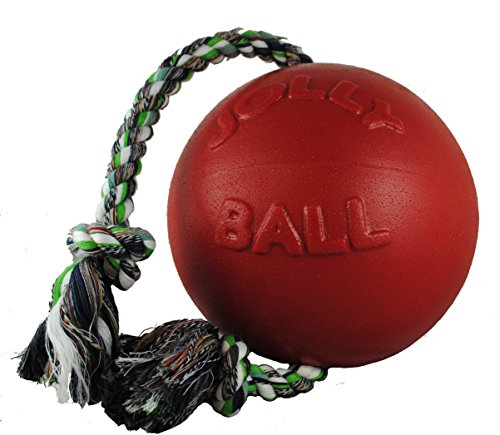 Jolly Pets JOLL051A Hundespielzeug Ball Romp-n-Roll, 20 cm, rot von Jolly Pets