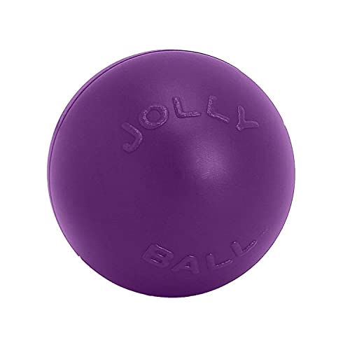 Jolly Pets Push-n-Play Ball Hundespielzeug, 25,4 cm/groß, Lila von Jolly Pets