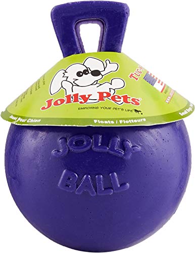 Jolly Pets Tug-N-Toss Ball Farbe: Lila, Größe: 15,2 cm H x 11,4 cm B x 11,4 cm T von Jolly Pets